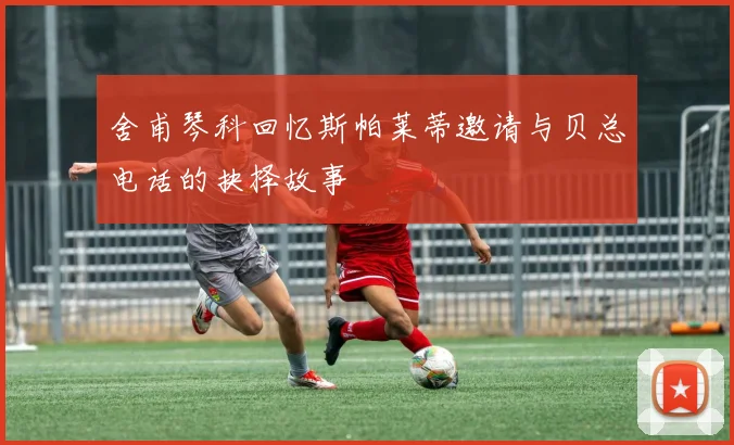 舍甫琴科回忆斯帕莱蒂邀请与贝总电话的抉择故事