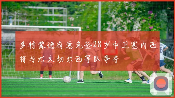 多特蒙德有意免签28岁中卫塞内西将与尤文切尔西等队争夺