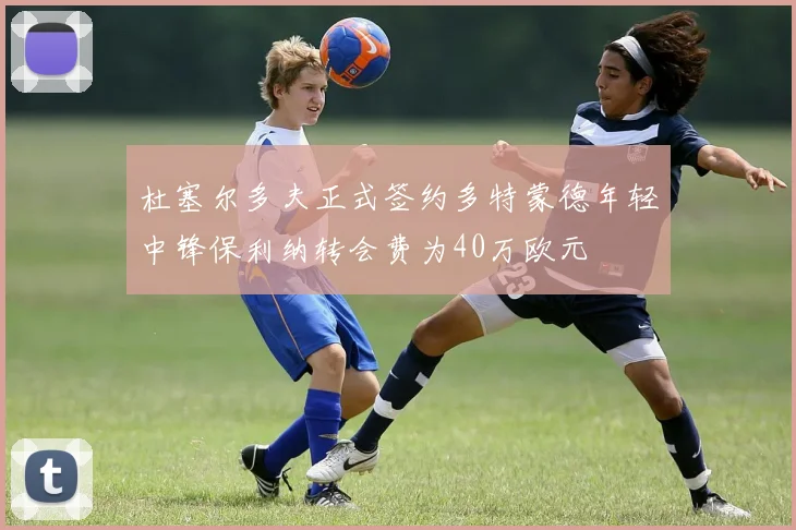 杜塞尔多夫正式签约多特蒙德年轻中锋保利纳转会费为40万欧元